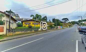 Imagem 3: TERRENO ZR-2 NO VISTA ALEGRE! Terreno ZR-2 no Vista Alegre! - J8