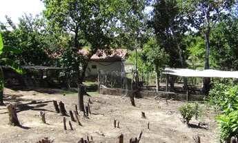 Imagem 5: Oportunidade única terreno 10.000 m² em Coqueiro de Arembepe (luz, agua e escritura