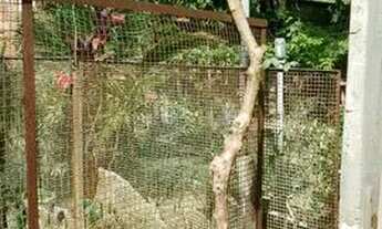 Imagem 4: Terreno Terreno / lote com venda por R$65.000