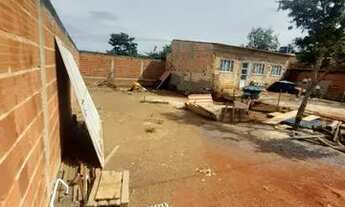 Imagem 4: Vendo lote com emergência no Jardim Botânico