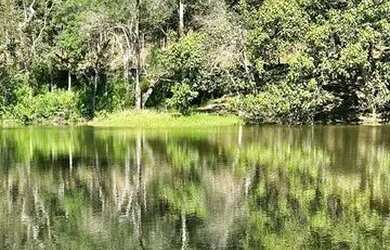 Imagem 6: VENDE-SE TERRENOS PARA CHACARA EM IGARATA, COM ACESSO A LAGO