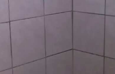 Imagem 2: Aluguel Apartamento com 1 dormitório