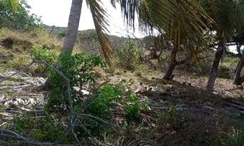 Imagem 6: Terreno Terreno / lote com venda por R$18.000