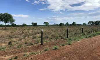 Imagem 5: Fazenda 50 alqueires Porangatu Goiás