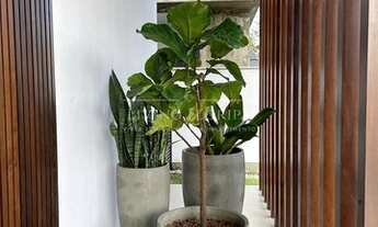 Imagem 3: Casa com 4 dormitórios à venda, 233 m² por R$ 2.450.000,00 - Campeche - Florianópolis/SC