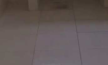 Imagem 3: Aluguel Apartamento com 1 dormitório