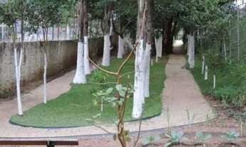 Imagem 12: Apartamento Residencial à venda, Jardim Vergueiro (Sacomã), São Paulo - AP0012