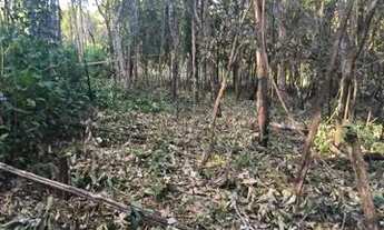 Imagem 5: Lote/Terreno em Pirenópolis-GO