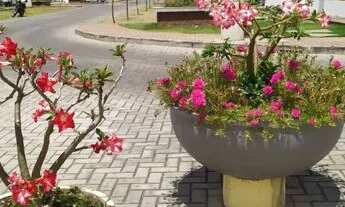 Imagem: Alugo Apartamento no Térreo. COND VILA