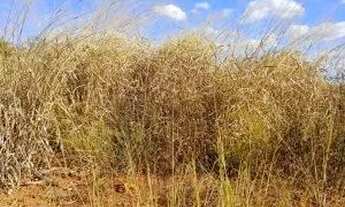 Imagem 5: Lote / Terreno à venda em Igarapé