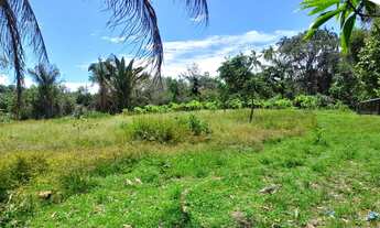 Imagem 5: Fazenda para venda tem 91.000 M² com 12 quartos / Nonato
