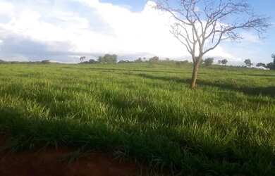 Imagem 2: Fazenda com Ótima Localização em Unaí
