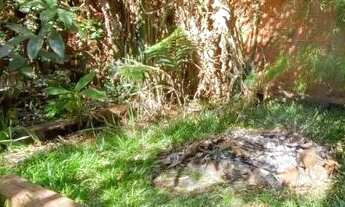 Imagem 7: ENCANTADORA RESIDÊNCIA COM MUITO VERDE, ACONCHEGO E TRANQUILIDADE, EM TAGUATINGA NORTE-DF