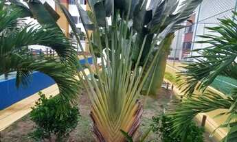 Imagem 4: Apartamento para aluguel no Condomínio Asa