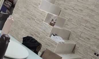 Imagem 5: Sobrado Casa com 2 dormitórios