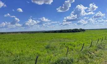 Imagem 2: . Uma fazenda 238 alqueires. 85 km de Pedro Afonso Tocan .. 2