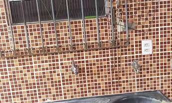 Imagem 4: Alugo para fins residencial boa e confortável casa em São Brás