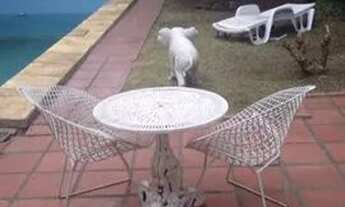 Imagem 4: CASA TÉRREA - VILA VALPARAÍSO - SP