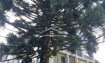 Imagem 3: CANELA - Apartamento Padrão - Centro