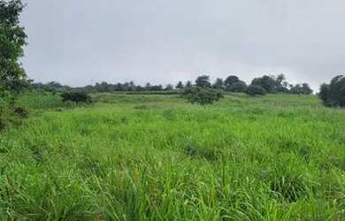 Imagem 6: Vendo excelente sítio em alagoinhas