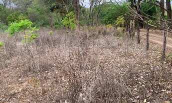 Imagem 3: VENDE-SE CHACARA