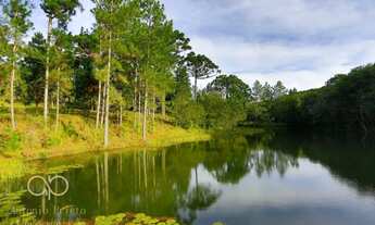 Imagem 6: Chácara com 7 dormitórios à venda, 72600 m² por R$ 2.900.000,00 - Roseira - Colombo/PR