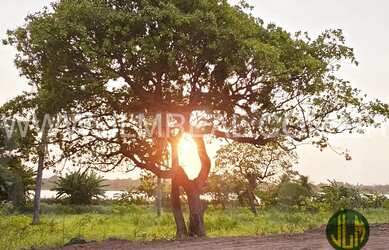 Imagem 6: TERRENO PARA VENDA NO LOTEAMENTO LAGO MONTENEGRO - FORTALEZA - CE