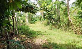 Imagem 4: Vende-se terreno área Rural