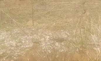 Imagem 2: Chacaras na região di jardim mateus leme