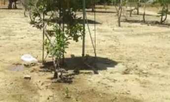 Imagem 5: Sitio Chácara com venda por R$250.000