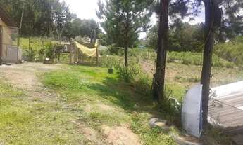 Imagem 6: Chácara a venda