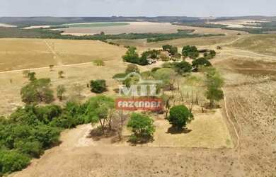 Imagem 6: Fazenda 169,42 Alqueires (820 Hectares) Ipameri - GO