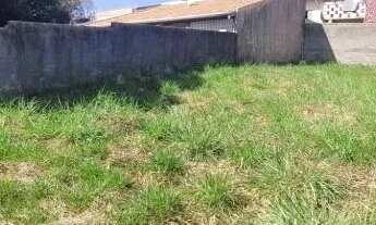 Imagem 8: TERRENO - COLINA DOS PINHEIROS - SP