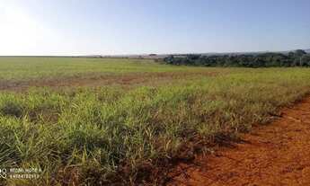 Imagem 3: Fazenda 189 alqueires em Doverlândia-GO