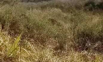 Imagem 7: Lote em Rua Caminho D, lote 21 - Jardim Primavera - São Pedro/SP