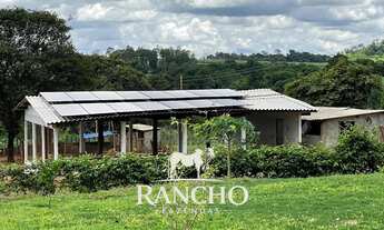 Imagem 6: Chacara de Alto Padrao em Trindade - Luxo