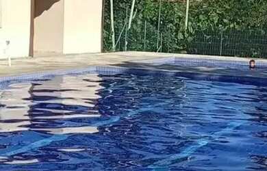 Imagem: APARTARTAMENTO 2/4, COND COM INFRAESTRUTURA