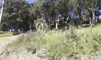 Imagem: CAXIAS DO SUL - Terreno Padrão - LINHA