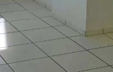 Imagem: Imóvel para aluguel possui 60 metros quadrados