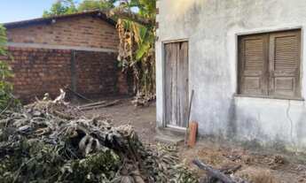 Imagem 5: Terreno em São Luiz