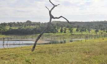 Imagem 4: IMPERDIVELArea em Ascenção Turística -Lago Manso