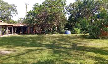 Imagem 7: VENDO!!! Um sítio de 20 hectares com ótima logística na região da cidade de Rosa