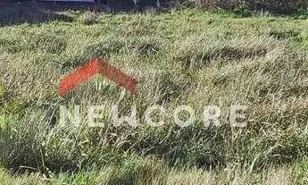 Imagem: Lote em Rua Belerophonte Albuquerque - Centro