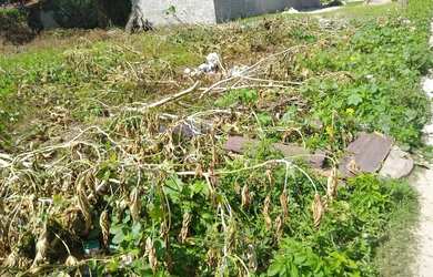 Imagem 6: TERRENO A VENDA NO BAIRRO ROSA ELZE - São Cristóvão - SE