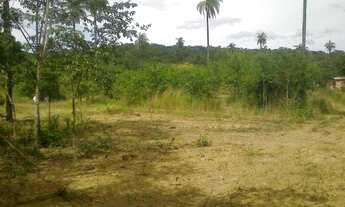 Imagem 5: Chacara de 2300 metros com muita agua 9 * WhtsAAP