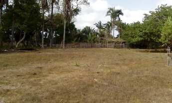 Imagem 6: Fazenda em Chapadinha as margens do rio Munin