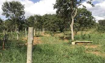 Imagem 6: Oportunidade chácara de 2500 metros de 90 mil por R$52Mil * whtsapp