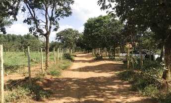 Imagem 4: Oportunidade chácara de 2500 metros de 90 mil por R$52Mil * whtsapp