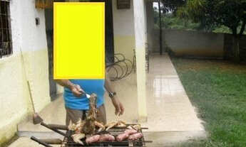 Imagem 6: Sitio em Jardim Maracanã - Seropédica