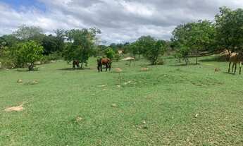 Imagem 7: Chácaras de 20.000m² com nascente, Jaboticatubas(Temos varias opções)